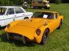 Banjo GT V8 Baujahr 1970