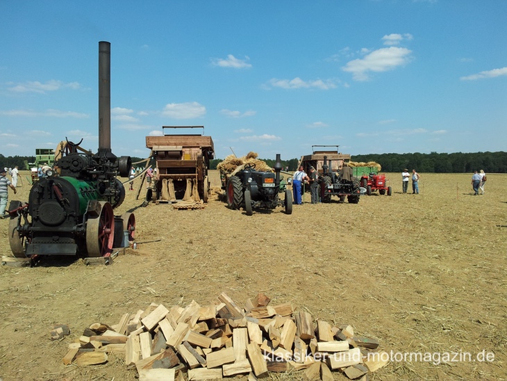 Dreschen Szene mit Lokomobile