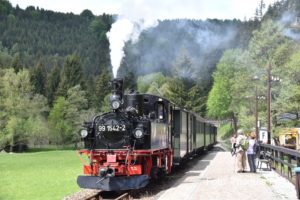 Mit der Praessnitztalbahn in die Natur