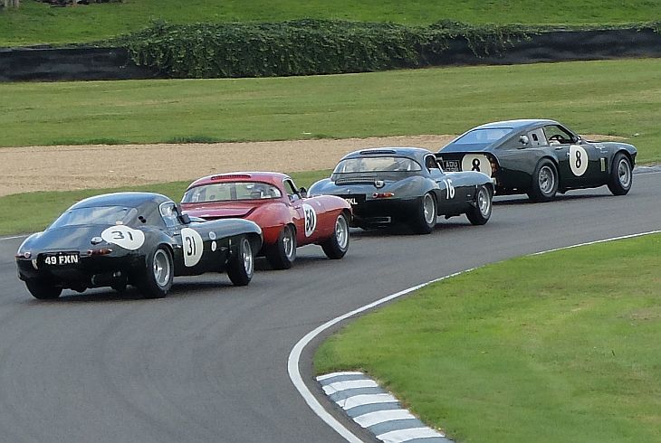 Goodwood Revival 2014 Jaguar Race