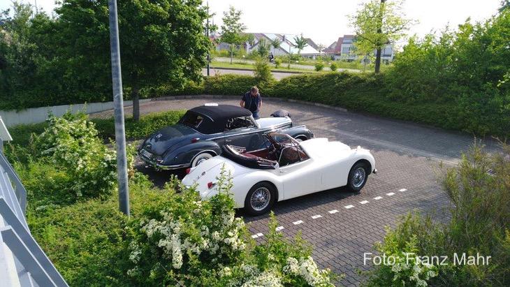 Maikammer Weinrallye 2018
